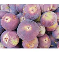 انجیر محلی چین روز