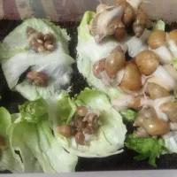 حراج حلزون اچاتینا سفید|خزنده|اصفهان, باغ دریاچه|دیوار