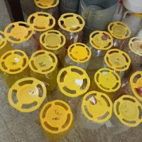 دبه سر فرمونی و خیارشور استوک