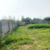 فروش ۵۶۴متر زمین سنددار داخل طرح هادی  درپسیخان