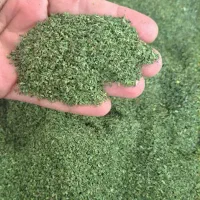 نعنا وشوید خشک