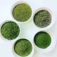 سبزی خشک شویدنعناترخون مرزه شمبلیله