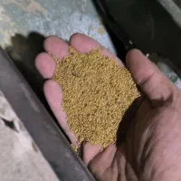 بذر یونجه/درجه ی یک/۲۵۰کیلو