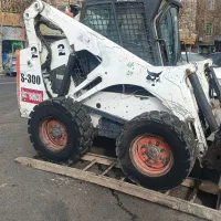 بابکت فروشی