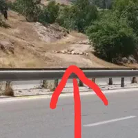 زمین کشاوری مشاع سند تک برگ|فروش زمین و ملک کلنگی|مسجد سلیمان, |دیوار