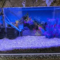 آکواریوم کامل