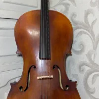 ویلنسل