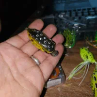 طعمه ماهیگیری قورباقه و لور|ماهیگیری|شهریار, شهریار|دیوار