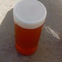 عسل طبیعی کوهستان فروش به صورت تکی وعمده