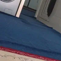 موکت طرح پالاز