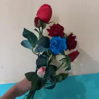 گل رز فقط ۳۰۰