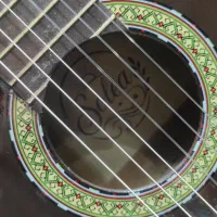گیتار سولئا آکبند