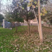 فروش ویلایی دوکله گلسار(پستک)