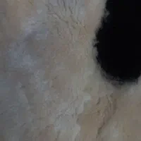 پالتو|کفش و لباس بچه|رشت, کوی مهر|دیوار