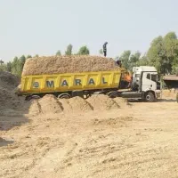 کاه نیشکر(تفاله باگاس)