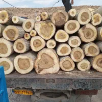 خریدارانواع چوب