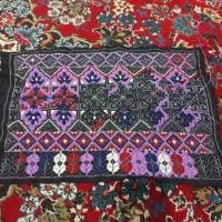 نقشه زی استین گراف استین بلند