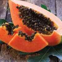 نهال پاپایا. پشن فروت. پوملو(سلطان مرکبات)