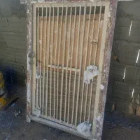 در کبوتر|لوازم جانبی حیوانات|آباده, |دیوار