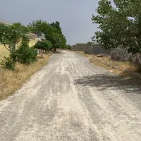 زمین و باغ ویلا