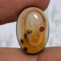 آموزشی علوم  کواکب کتاب  ستارگان دعوت خصوصی