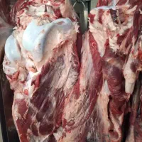 گوشت عمده گوساله و گاوی (ماده ،تلیسه، جوانه