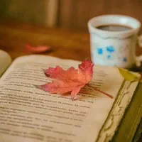 تدریس خصوصی زبان انگلیسی