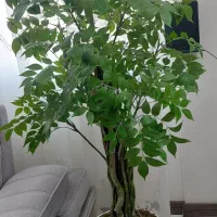 درختچه ی مصنوعی وارداتی