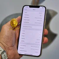 اپل iPhone 12 Pro Max سلامت کامل بشرط|موبایل|رشت, لاکانی|دیوار