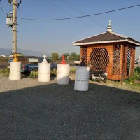 نیروی کار چوببری