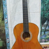 گیتار حرفه ای دالاهو صفر و شیک|گیتار، بیس، امپلیفایر|اردبیل, |دیوار