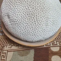 سنگ دریایی بزرگ|کلکسیون اشیاء عتیقه|شاهینشهر, خانه کارگر|دیوار