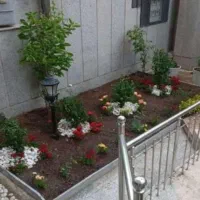 خدمات باغبانی در سعادت آباد و شهرک غرب|خدمات باغبانی و درختکاری|تهران, سعادت‌آباد|دیوار