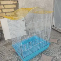 قفس