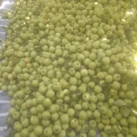 س ی ب   ز ر د   و    ق ر م ز|خوردنی و آشامیدنی|نهاوند, |دیوار