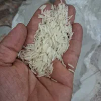 برنج هندی سون استار