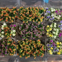 گلدان روز مادر و یلدا|گل مصنوعی|آفتاب, |دیوار