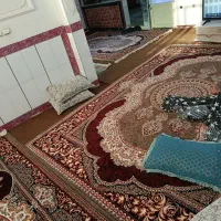 فرش در حد نو