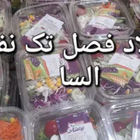 سالاد فصل تک نفره برای تمام مجالس پذیرفته می شود|خدمات پذیرایی، مراسم|قزوین, |دیوار