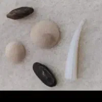 مهره کلکسیونی