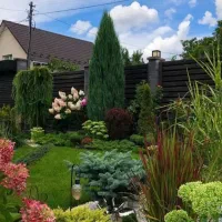 خدمات باغبانی در سراسر پردیس|خدمات باغبانی و درختکاری|پردیس, فاز ۲|دیوار