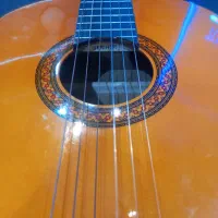 گیتار|گیتار، بیس، امپلیفایر|رباط‌کریم, رباط‌کریم|دیوار