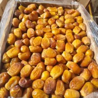 خرمای زاهدی وکبکاب پرس