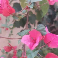 خط ۰۹۱۲ اول شمارش ۳بفروش میرسد