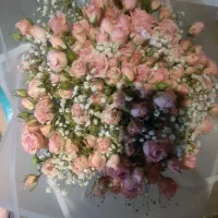 دسته گل رز مینیاتوری صورتی|گل و گیاه طبیعی|قزوین, |دیوار