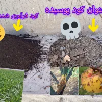 کود دامی فرآوری شده مهندسی با تکنولوژی باکتری EM