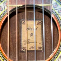 گیتار پارسی m6|گیتار، بیس، امپلیفایر|مشهد, تربیت (صدف)|دیوار