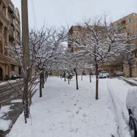 گم کردن گواهینامه