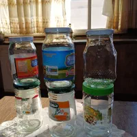 ۱۰ عدد شیشه