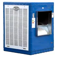 کولرابی مشهددوام ۸۰۰۰